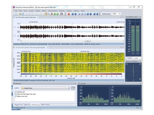 Acon Digital Acon Acoustica Premium Comprehensive 8-channel Audio Editor