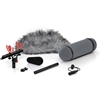 DPA Microphones 4017B-R Shotgun Microphone with Rycote Windshield