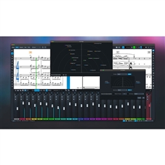 Steinberg Dorico Elements 5 Music Notation and Composition Software (Download)