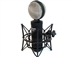 Cascade Microphones FAT HEAD II Active/Passive Black/ Silver Grill - Ribbon Microphone