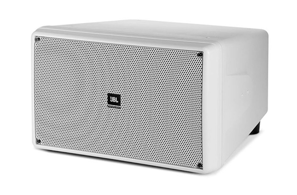 JBL Professional Series Control SB2210 Dual 10" Subwoofer (White)