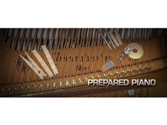 Vienna Symphonic Library Prepared Piano Standard