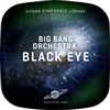 Vienna Symphonic Library Big Bang Orchestra: Black Eye Tutti Phrases and FX