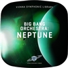 Vienna Symphonic Library Big Bang Orchestra: Neptune Tutti Woodwinds Virtual Instrument (Download)