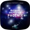 Vienna Symphonic Library Big Bang Orchestra: Phoenix Pitched Solo Percussion Virtual Instrument (Download)