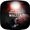 Vienna Symphonic Library Bang Orchestra: Wallia Cellos Virtual Instrument (Download)